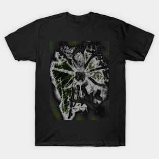 Tarantula Spiderling V40 T-Shirt